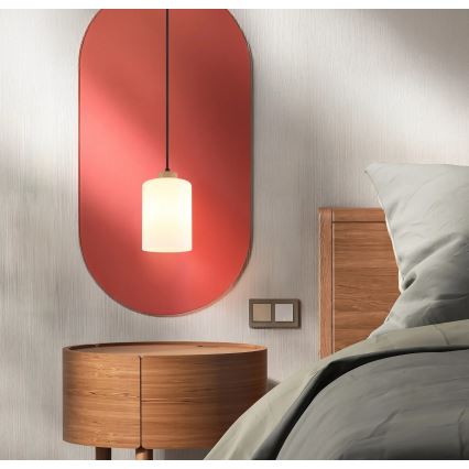 Globo - Κρεμαστό φωτιστικό με καλώδιο 1xE27/60W/230V δρυς/λευκό