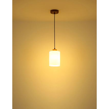 Globo - Κρεμαστό φωτιστικό με καλώδιο 1xE27/60W/230V δρυς/λευκό