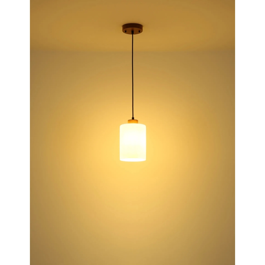 Globo - Κρεμαστό φωτιστικό με καλώδιο 1xE27/60W/230V δρυς/λευκό
