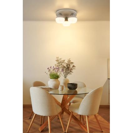 Globo - Φωτιστικό οροφής 3xE27/60W/230V Ø 31,5 cm