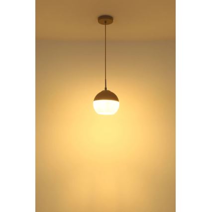 Globo - Κρεμαστό φωτιστικό με καλώδιο 1xE27/60W/230V, διάμ. 20 εκ.