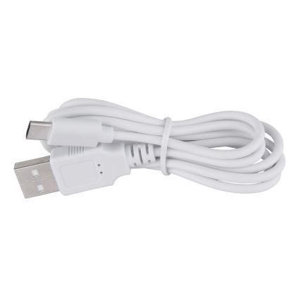 Globo - Επιτραπέζια λάμπα αφής dimming LED LED/2W/5V 1200 mAh USB διαφανής