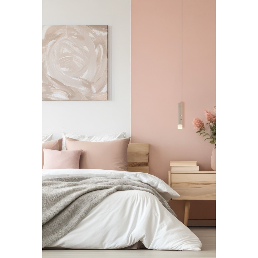 Globo - Ρυθμιζόμενο LED επαναφορτιζόμενο φωτιστικό αφής 2 σε 1 LED/2W/230/5V