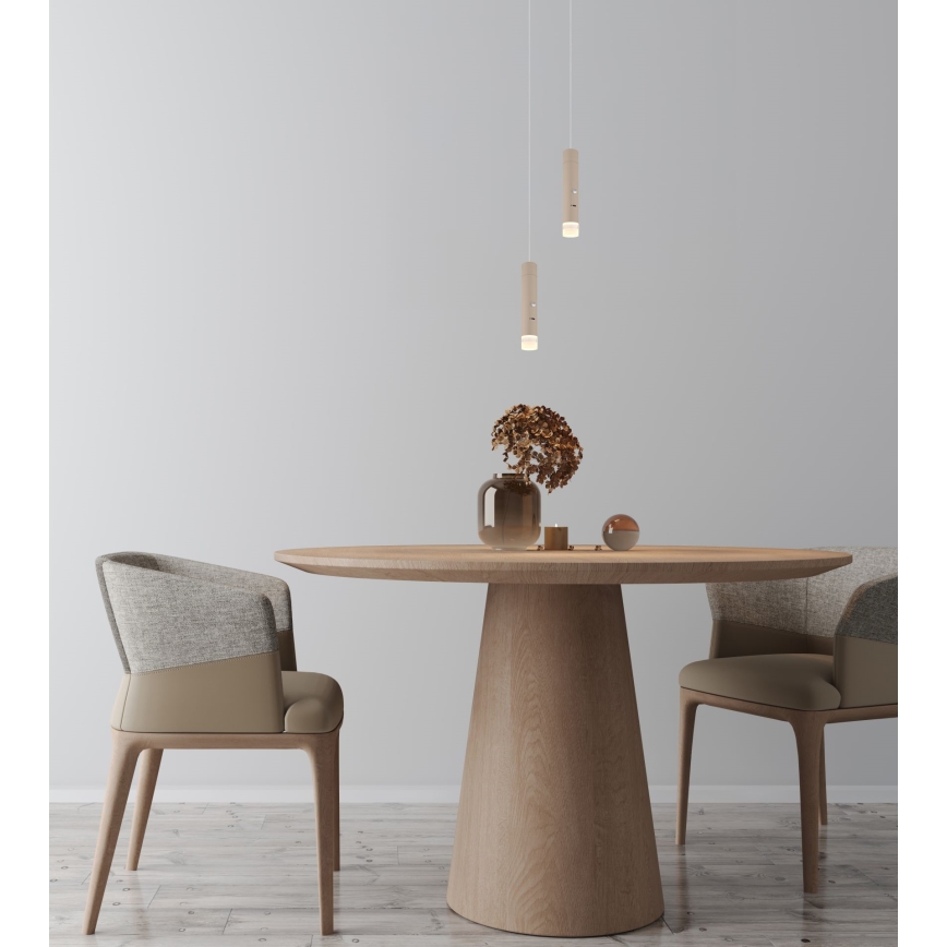 Globo - Ρυθμιζόμενο LED επαναφορτιζόμενο φωτιστικό αφής 2 σε 1 LED/2W/230/5V