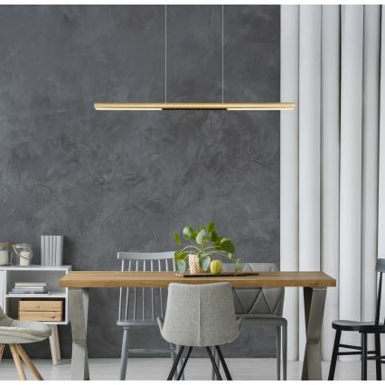 Globo - LED κρεμαστό φωτιστικό με καλώδιο LED/24W/230V 3000K