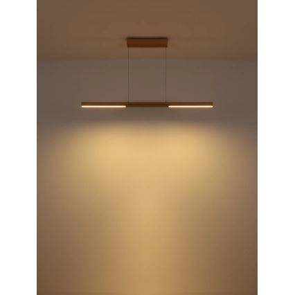 Globo - LED κρεμαστό φωτιστικό με καλώδιο LED/24W/230V 3000K