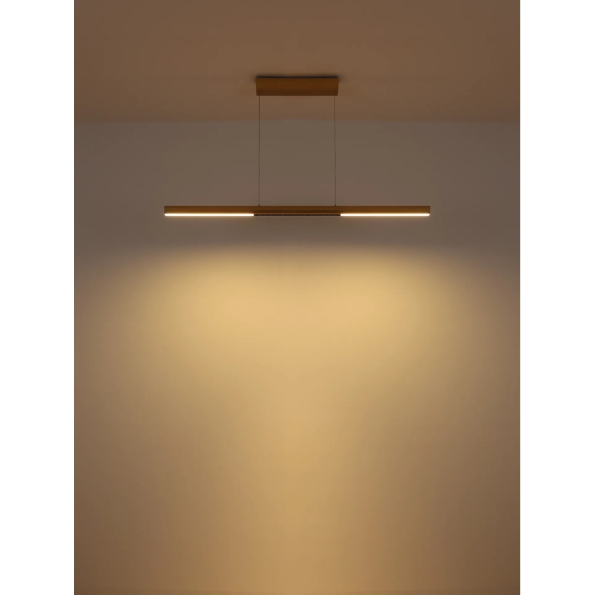 Globo - LED κρεμαστό φωτιστικό με καλώδιο LED/24W/230V 3000K