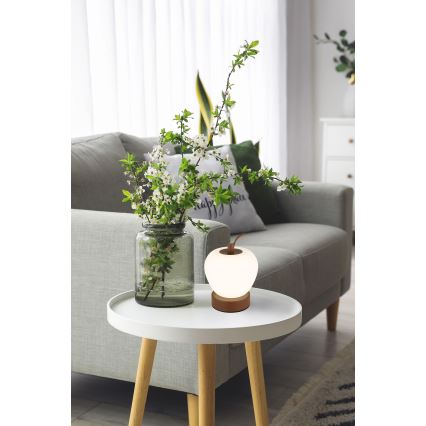 Globo - Επιτραπέζιο LED φωτιστικό με αφής και ρύθμιση φωτεινότητας LED/2W/3,7V 2700K/4000K/6500K 1200 mAh USB καφέ