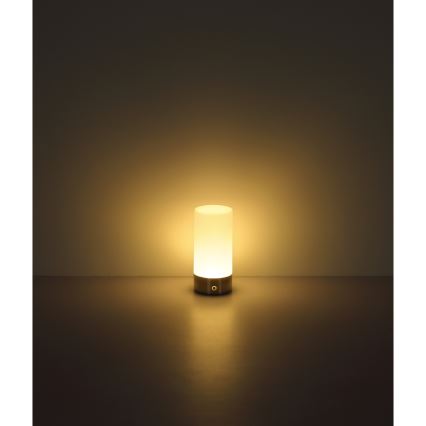 Globo - LED RGBW Dimming αφής Εξωτερικού χώρου επιτραπέζιο φωτιστικό LED/1,8W/5V 1500 mAh IP44 ματ χρώμιο