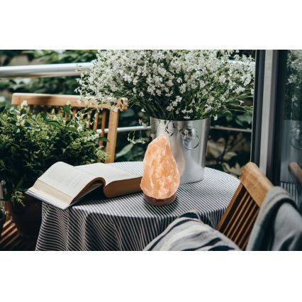 Globo -Λάμπα από Αλάτι 1xE14/15W/230V 2,64 kg