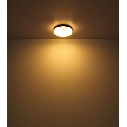 Globo - Φωτιστικό μπάνιου 1xE27/60W/230V διάμετρος 18,4 cm IP44