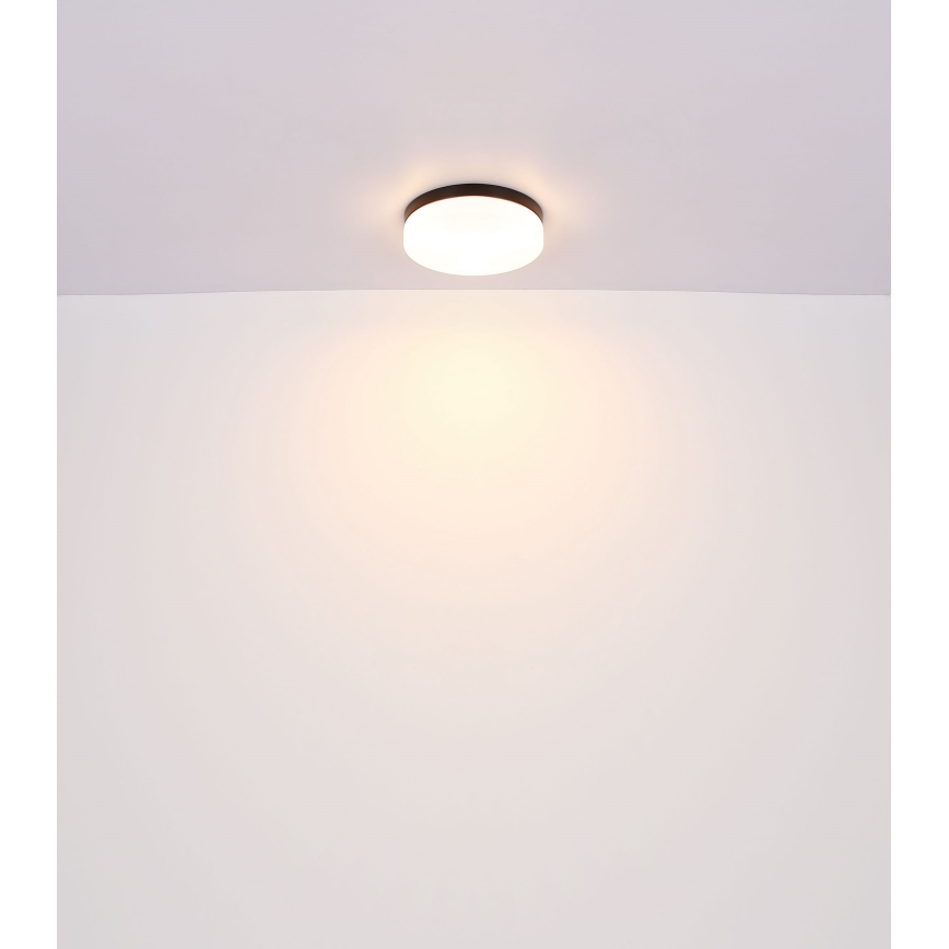 Globo - Φωτιστικό μπάνιου 2xE27/60W/230V διάμετρος 24 cm IP44