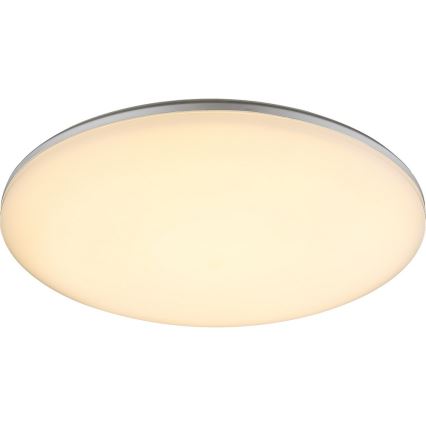 Globo - Εξωτερικό φωτιστικό οροφής LED/24W/230V IP54