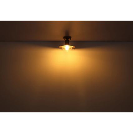 Globo 3274DW - Φωτιστικό οροφής LINDA 1xE27/15W/230V