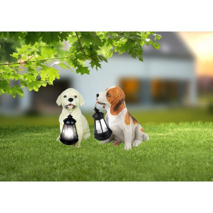 Globo - Ηλιακό φωτιστικό LED LED/0,06W/3V IP44 600 mAh