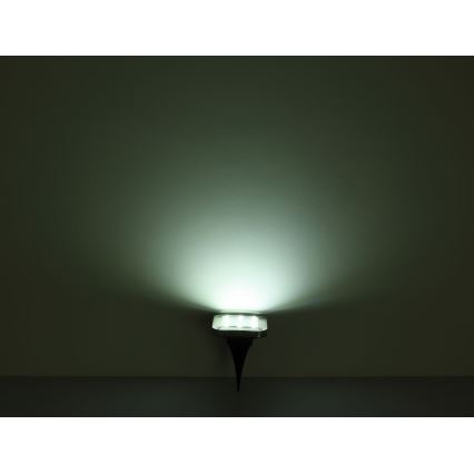 Globo - ΣΕΤ 2x Ηλιακό φωτιστικό LED LED/0,8W/1,2V IP44 300 mAh