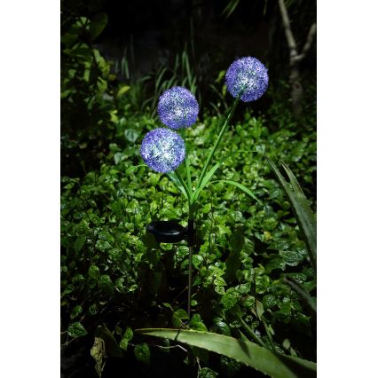 Globo - Ηλιακό φωτιστικό LED 3xLED/0,06W/3V 5000K IP44 μωβ