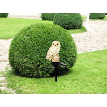 Globo - LED Ηλιακό φωτιστικό LED/0,06W/3V IP44 κουκουβάγια