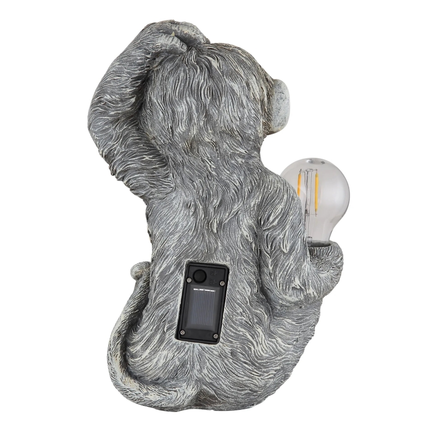 Globo - LED Ηλιακό διακοσμητικό LED/0,02W/3V IP44 μαϊμού