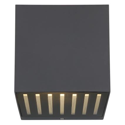 Globo - LED επιτοίχιο εξωτερικό φωτιστικό LED/6W/230V IP54 ανθρακί