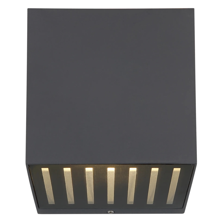 Globo - LED επιτοίχιο εξωτερικό φωτιστικό LED/6W/230V IP54 ανθρακί
