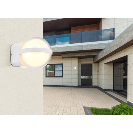 Globo - Επιτοίχιο φωτιστικό εξωτερικού χώρου LED LED/12W/230V IP54 λευκό