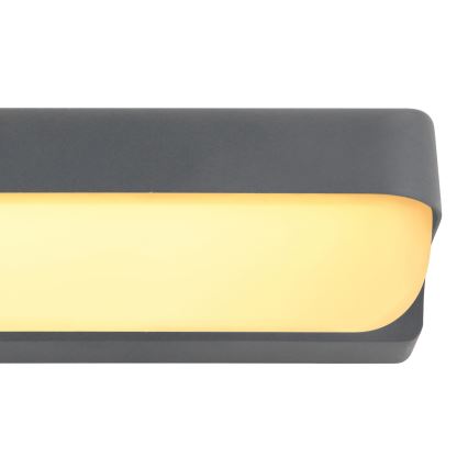 Globo - Επιτοίχιο φωτιστικό εξωτερικού χώρου LED LED/10W/230V IP54