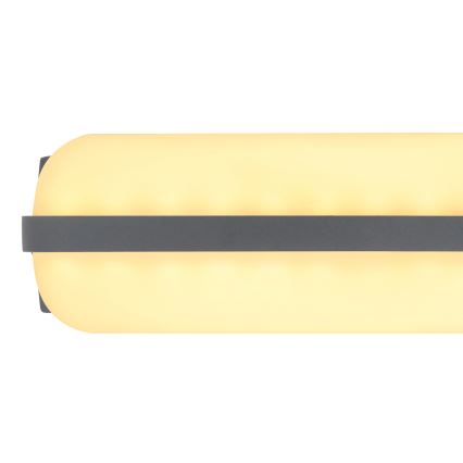 Globo - Επιτοίχιο φωτιστικό εξωτερικού χώρου LED LED/20W/230V IP54