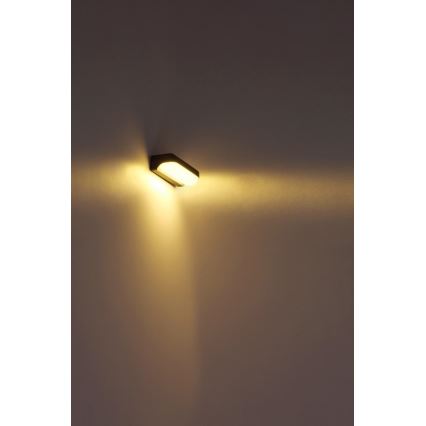 Globo - Επιτοίχιο φωτιστικό εξωτερικού χώρου LED LED/20W/230V IP54