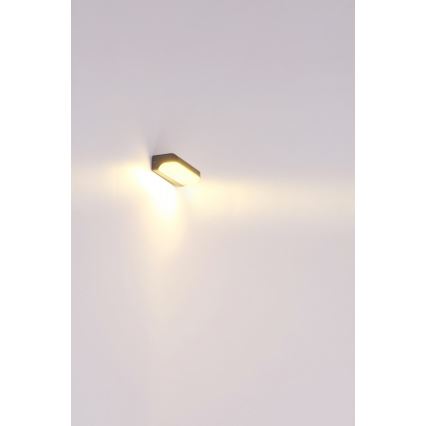 Globo - Επιτοίχιο φωτιστικό εξωτερικού χώρου LED LED/20W/230V IP54