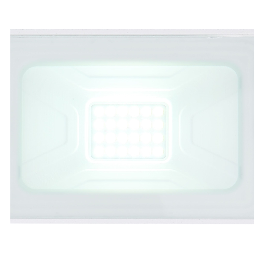 Globo - LED Προβολέας LED/20W/230V IP65