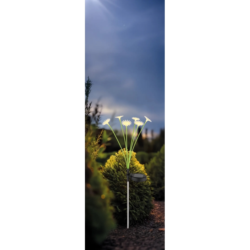 Globo - Ηλιακό φωτιστικό LED 6xLED/3V IP44 600 mAh σε σχήμα λουλουδιού