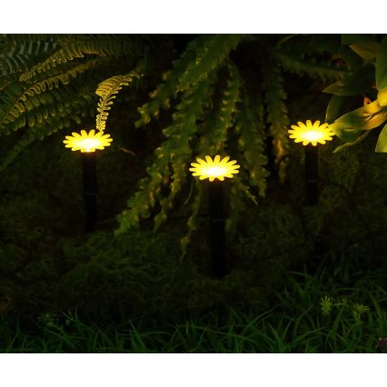 Globo - LED Ηλιακή γιρλάντα 5xLED/3V IP44 300 mAh 2,2 m λουλούδια