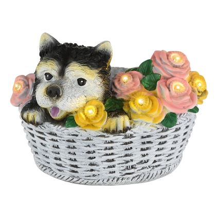 Globo - Ηλιακό φωτιστικό LED/1,2V IP44 300 mAh σκύλος