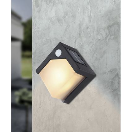 Globo - Ηλιακό φωτιστικό LED με αισθητήρα LED/0,48W/3V IP44 600 mAh