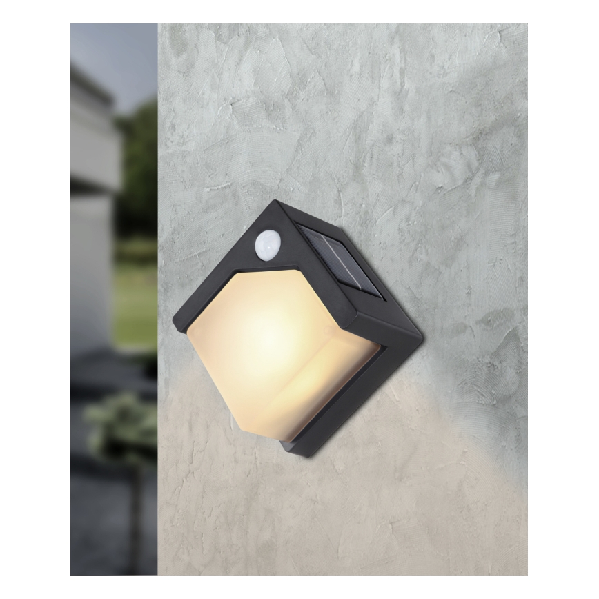 Globo - Ηλιακό φωτιστικό LED με αισθητήρα LED/0,48W/3V IP44 600 mAh