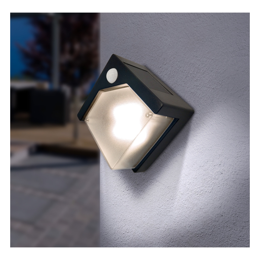 Globo - Ηλιακό φωτιστικό LED με αισθητήρα LED/0,48W/3V IP44 600 mAh