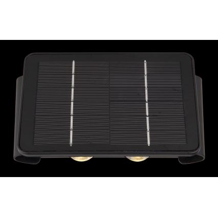 Globo- LED Ηλιακό φωτιστικό LED/1W/3,2V 3000K IP54