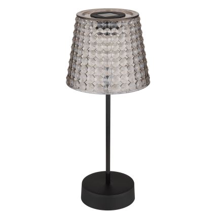 Globo 36634-2S - ΣΕΤ 2x Ηλιακό φωτιστικό LED SOLAR LED/0,06W/3V IP44 40 mAh γκρι