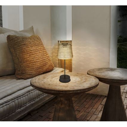 Globo 36634-2S - ΣΕΤ 2x Ηλιακό φωτιστικό LED SOLAR LED/0,06W/3V IP44 40 mAh γκρι