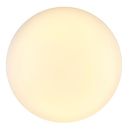 Globo - Φωτιστικό οροφής LED LED/24W/230V διάμετρος 49,5 cm λευκό