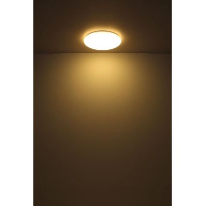 Globo - Φωτιστικό οροφής LED LED/24W/230V διάμετρος 49,5 cm λευκό