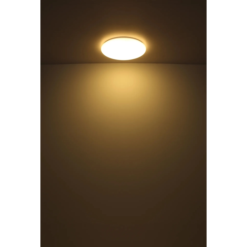 Globo - Φωτιστικό οροφής LED LED/24W/230V διάμετρος 49,5 cm λευκό