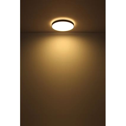 Globo - Φωτιστικό οροφής LED LED/24W/230V διάμετρος 48 cm ανθρακί