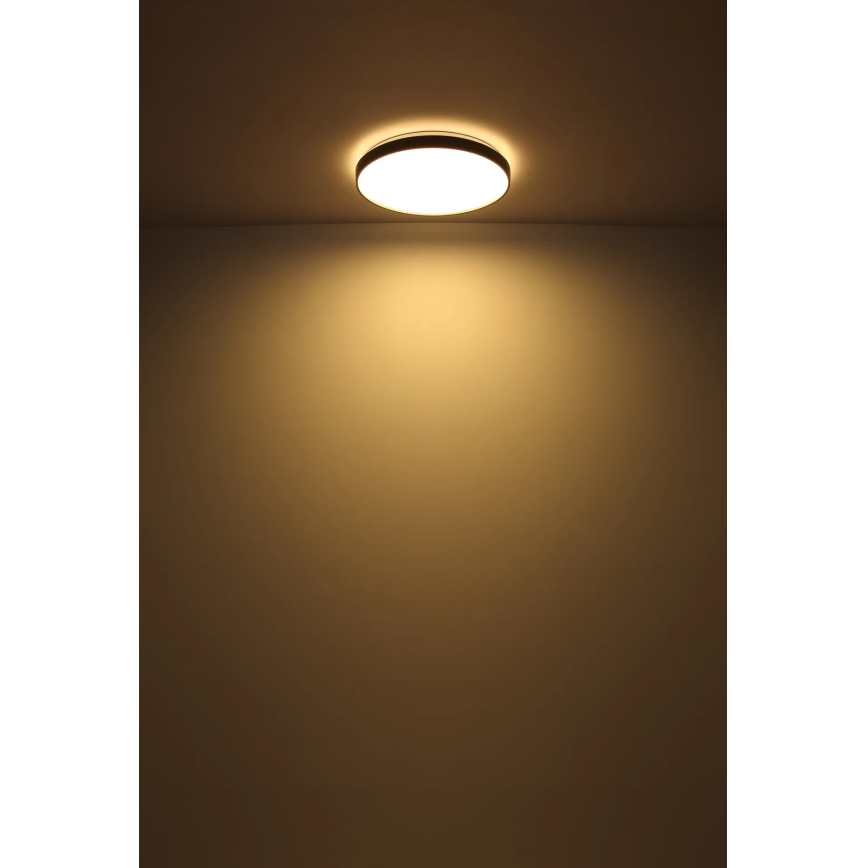 Globo - Φωτιστικό οροφής LED LED/24W/230V διάμετρος 48 cm ανθρακί