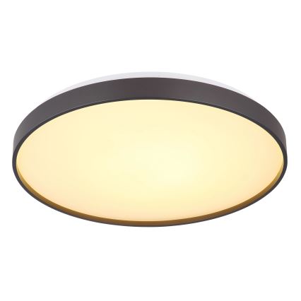 Globo - Φωτιστικό οροφής LED LED/24W/230V διάμετρος 48 cm ανθρακί