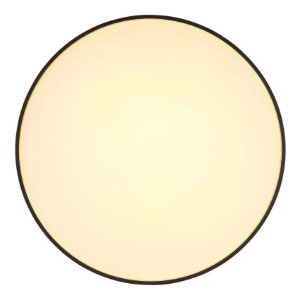 Globo - Φωτιστικό οροφής LED LED/24W/230V διάμετρος 48 cm ανθρακί