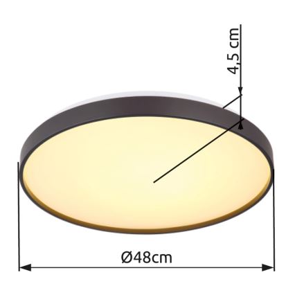 Globo - Φωτιστικό οροφής LED LED/24W/230V διάμετρος 48 cm ανθρακί