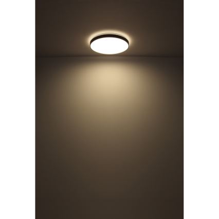 Globo - Φωτιστικό οροφής LED LED/24W/230V