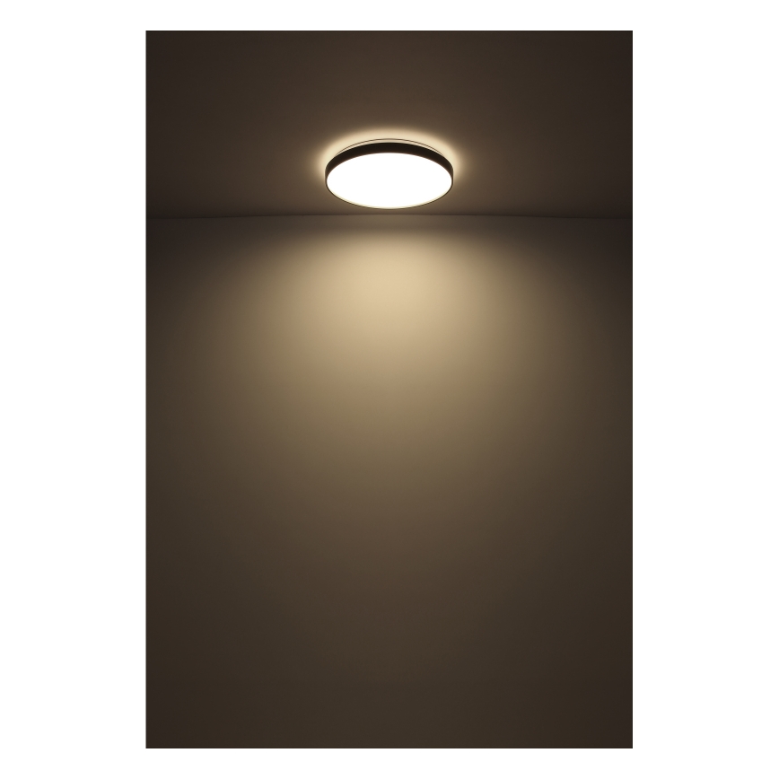 Globo - Φωτιστικό οροφής LED LED/24W/230V